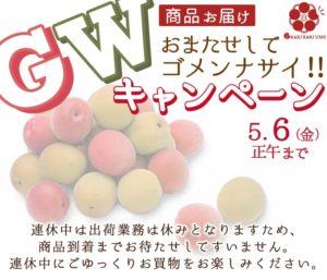 GWキャンペーン