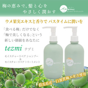 tezmi テヅミ