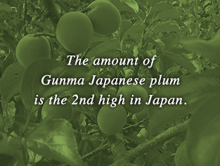 The amount of Gunma Japanese plum is the 2nd high in Japan.