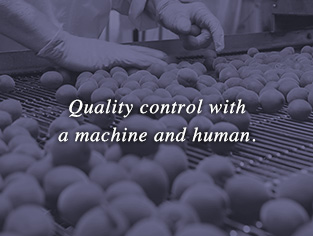 Quality control with a machine and human.